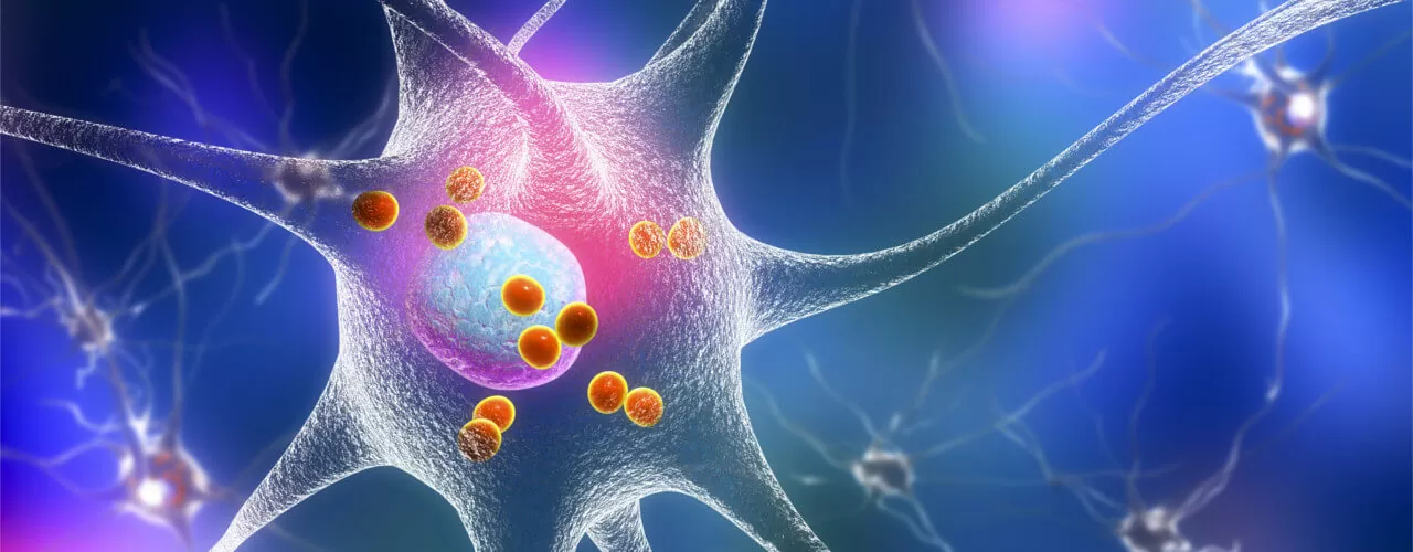 Neurological Disorders Goffstown & Windham, NH