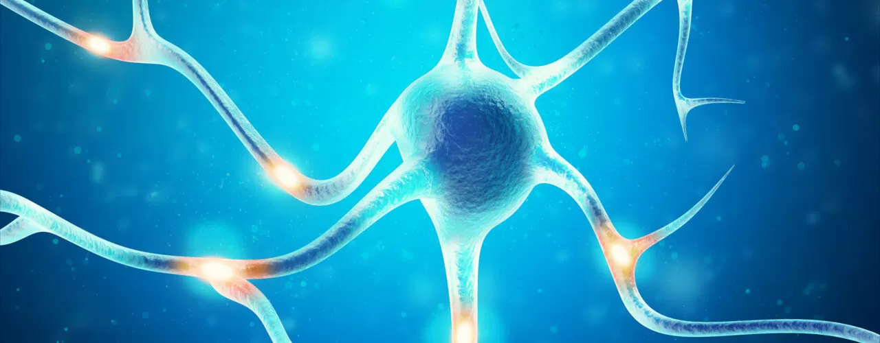 Parkinson's Disease Goffstown & Windham, NH