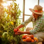 Back Pain & Tips To Avoid It While Gardening